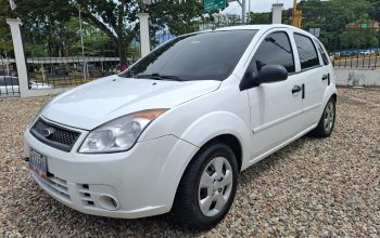 Ford Fiesta Max 2010